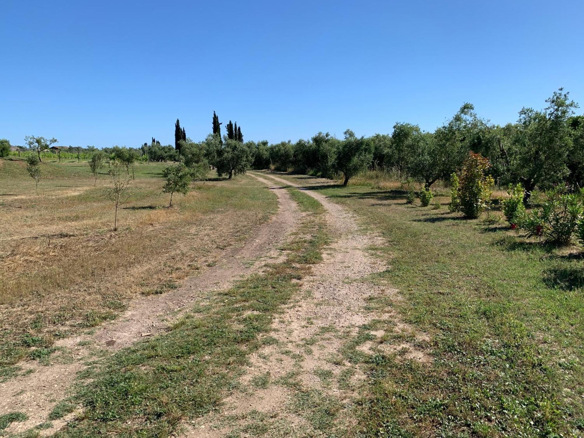 Resort Fonte Vulci Canino Dış mekan fotoğraf