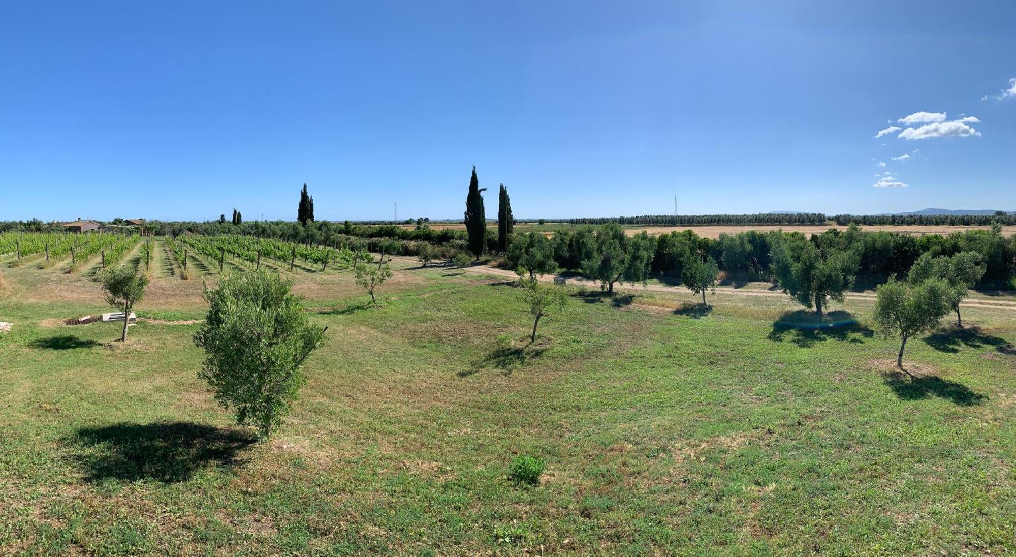 Resort Fonte Vulci Canino Dış mekan fotoğraf